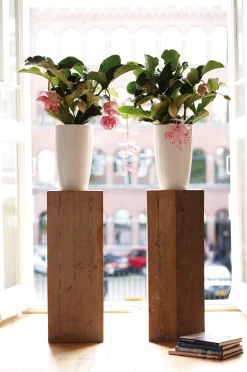 Diamond hoog 32cm|ohgreen Online