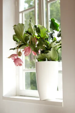 Diamond hoog 27cm|ohgreen