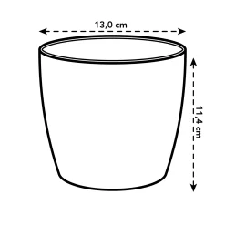 Diamond orchidee 12,5cm|ohgreen Clearance