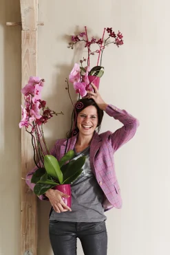 Diamond orchidee hoog 12,5cm|ohgreen Outlet