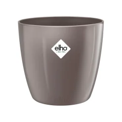 Diamond orchidee hoog 20cm|ohgreen Best