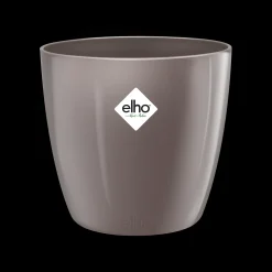 Diamond orchidee hoog 20cm|ohgreen Best