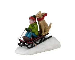 Doggone downhill sledding|ohgreen Discount