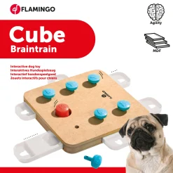 Doggy brain train cube 32x32x5cm|ohgreen Online