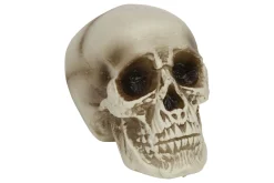 Doodskop natuur|ohgreen Discount