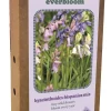 Doos 'everbloom' met 25 bloembollen hyacinthoides hisp. mix|ohgreen Clearance