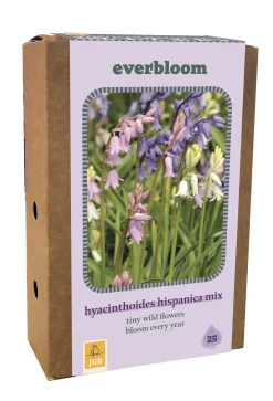 Doos 'everbloom' met 25 bloembollen hyacinthoides hisp. mix|ohgreen Clearance
