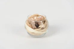 Droogbloem in vaas|ohgreen Outlet