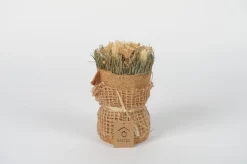 Droogbloemen|ohgreen Hot