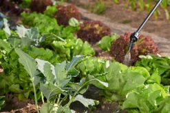 Druksproeier Hobby Star 5|ohgreen Sale