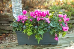 Druppelsysteem|ohgreen Clearance