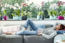 Duo orchidee 25cm|ohgreen Discount