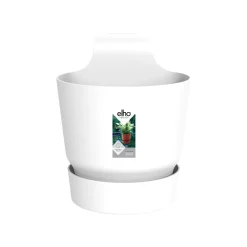 EASY HANGER SINGLE WIT|ohgreen Online