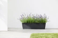 ECOPOTS BRUGES 55CM, ANTR|ohgreen New