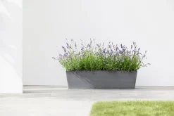 ECOPOTS BRUGES 55CM, GRS|ohgreen New