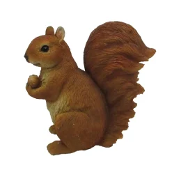 Eekhoorn zittend|ohgreen Sale