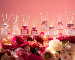 Essentials Intens & Dark Rose 2x50ml|ohgreen