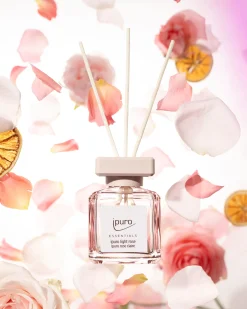 Essentials Light Rose 100ml|ohgreen Sale