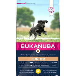 Euk dog developing junior large breed|ohgreen Sale