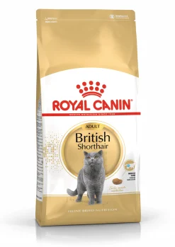 Fbn british shorthair 10kg|ohgreen Sale