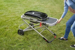 Gasbarbecue traveler|ohgreen Clearance