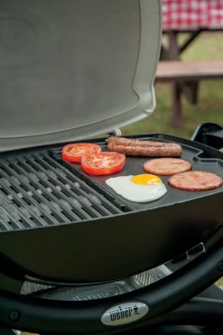 Geitijzer bakplaat klein|ohgreen Clearance