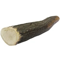 Gewei Edelhert M 1 st. (krimp)|ohgreen Outlet