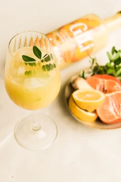 Gili gember elixir 700ml|ohgreen Clearance