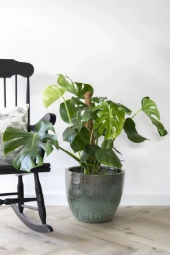 Glazed egg pot moss green|ohgreen Clearance