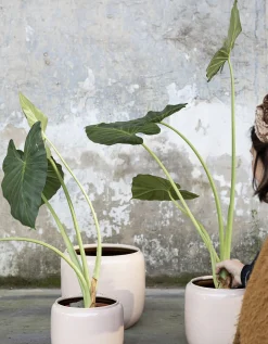 Glazed shades Sierpot costa 18,5x18,5x19 roz|ohgreen Outlet