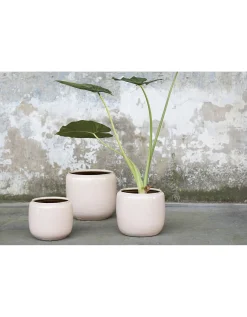 Glazed shades Sierpot costa l21xb21xh21 roze|ohgreen