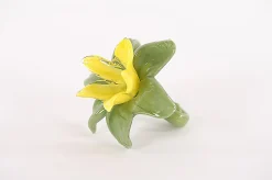 Glazen amaryllis bloem|ohgreen Discount