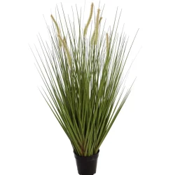 Gras m/kattest pot 92cm groen|ohgreen Best