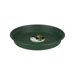 Green basics schotel 10|ohgreen Outlet