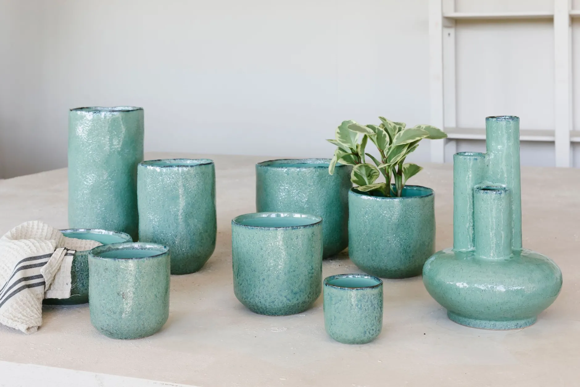 Grote orchidee pot glisten|ohgreen New