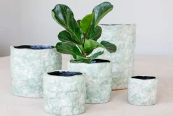 Grote orchidee pot reef|ohgreen Outlet