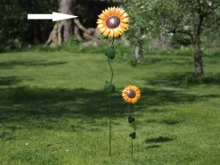 Grote zonnebloem|ohgreen