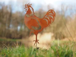 Haan|ohgreen Discount