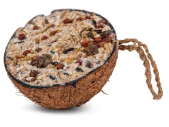 Halve kokosnoot granola 200g|ohgreen Discount