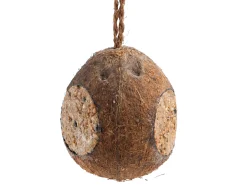 Halve kokosnoot 3x200g|ohgreen Hot