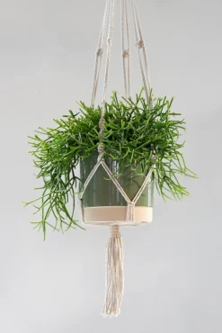 Hanger Stitt|ohgreen Discount