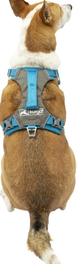 Harnas kurgo journey air tuigje bl-l|ohgreen Hot