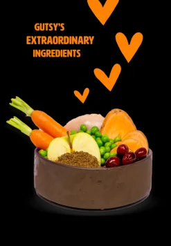 Hondenbrokken kip en insect 10kg adult large|ohgreen Hot