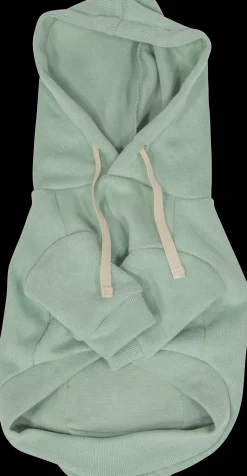 Hondencapuchon|ohgreen Clearance