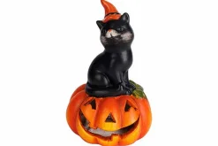 Hoofd pompoen|ohgreen Outlet