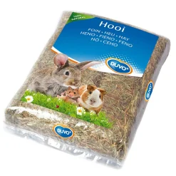 Hooi|ohgreen Discount