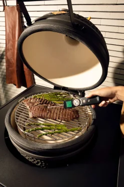 Instant thermometer|ohgreen Discount