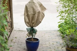 Juteband h10cmx25m groen 220g/m²|ohgreen Clearance