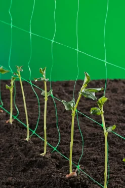 Klim-groei-geleidenet 2x5m groen|ohgreen Hot