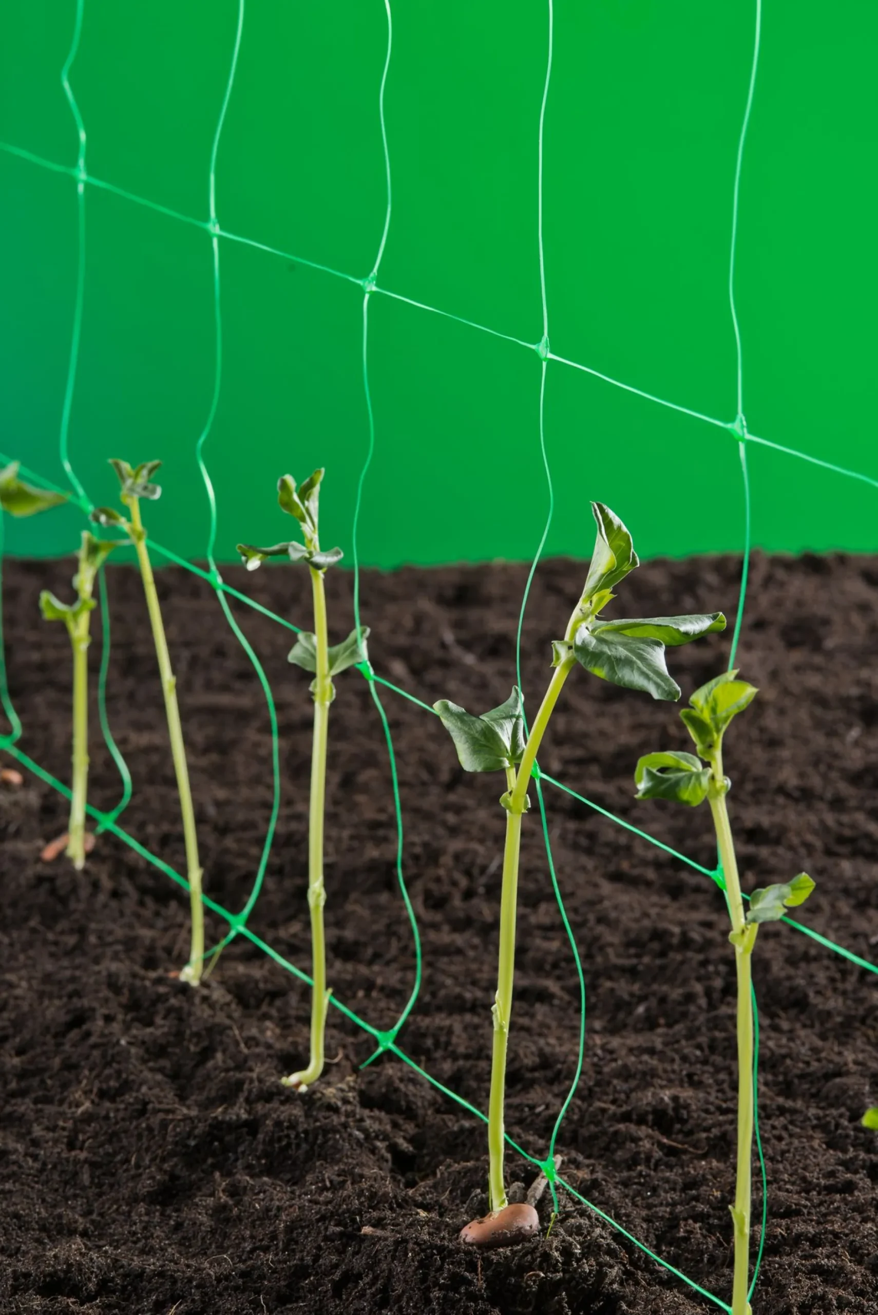 Klim-groei-geleidenet 2x5m groen|ohgreen Hot